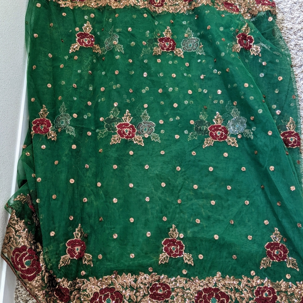 Saree - Picture 10 of 10